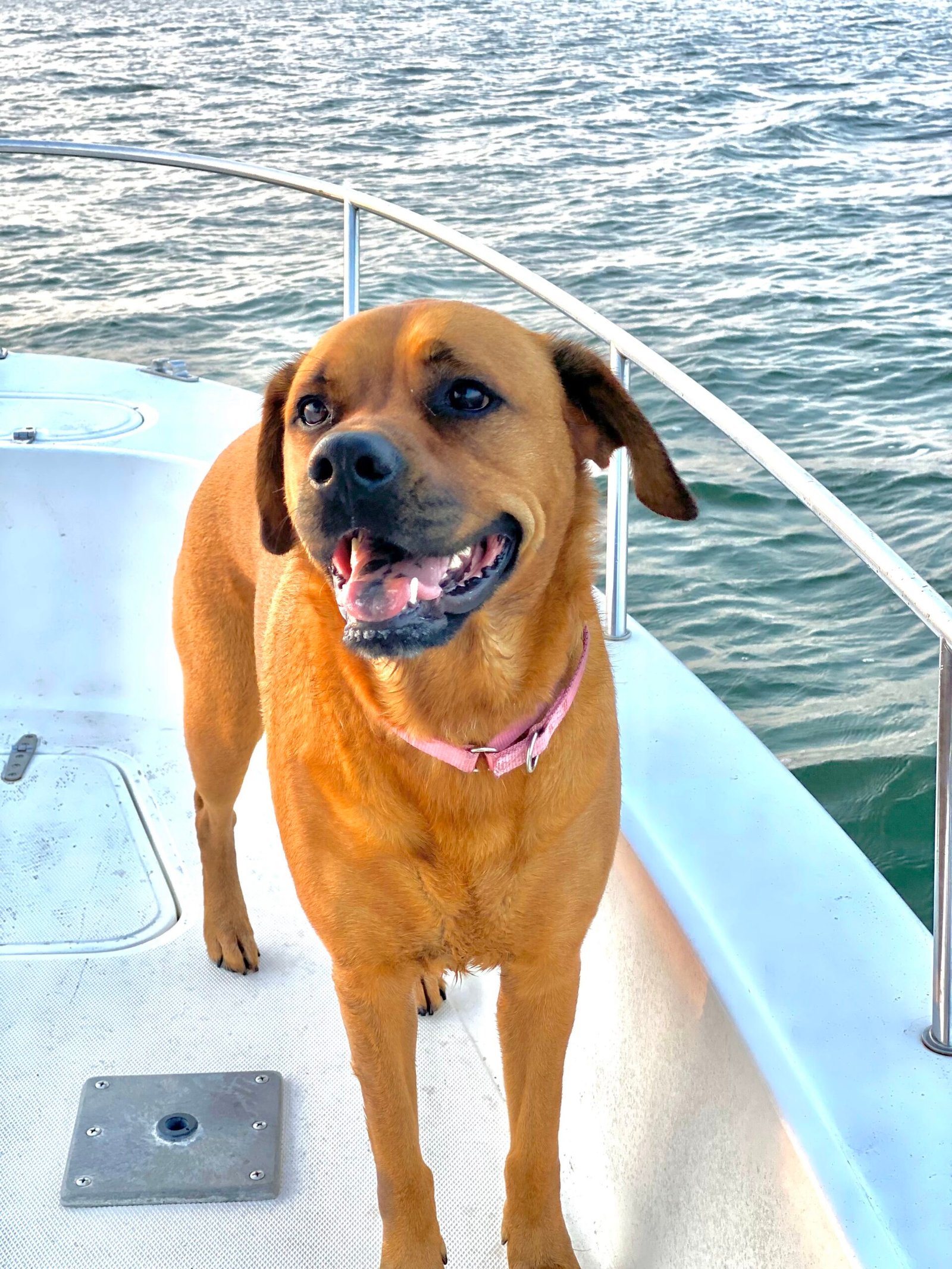 Miss Angie aboard memorial charter in Southport NC